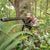 BOGgear Havoc Hunting Shooting Stick/Rest, 360 Degree Pan, Adjustable from 22” - 50” (#1100479)