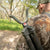 BOGgear Havoc Hunting Shooting Stick/Rest, 360 Degree Pan, Adjustable from 22” - 50” (#1100479)