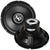 Audiopipe TS-PP2 10-D4 10