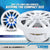 DS18 NXL-6 6.5” 100W RMS 2-Way Coaxial Marine Speakers 4-Ohm White (Pair) w/ RGB LED Lights